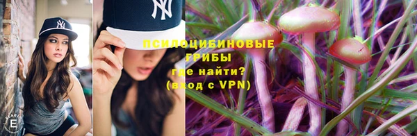 твердый Балахна