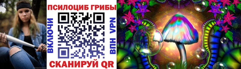 KRAKEN маркетплейс купить наркоту Шумерля Псилоцибиновые грибы прущие грибы